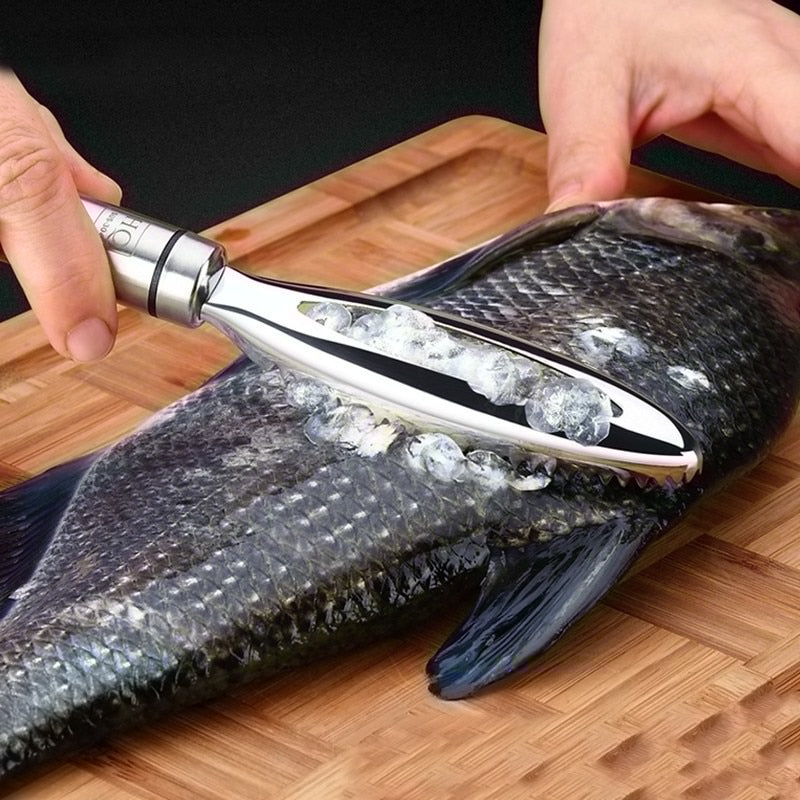 Fish Scale Scraper - 430 Stainless Steel Tool